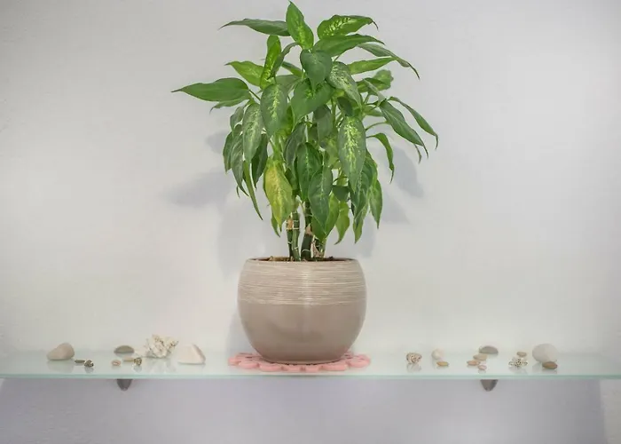 Jakov Appartamento Postira