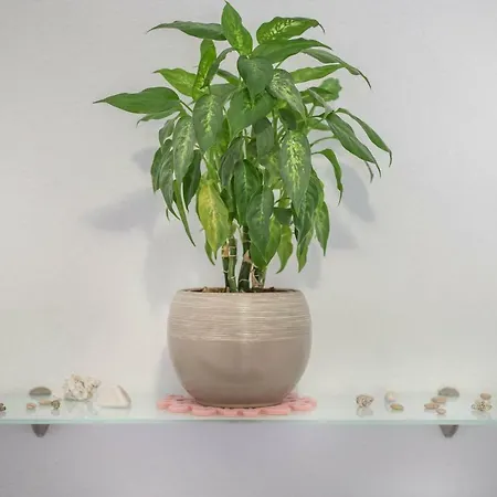 Jakov Apartment Postira